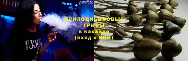 амф Алексин