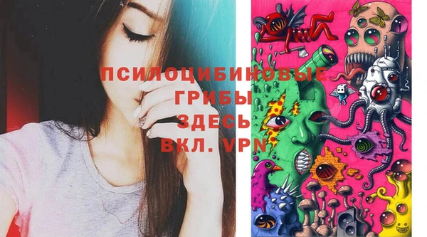 ГАЛЛЮЦИНОГЕННЫЕ ГРИБЫ Алзамай