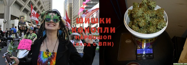 амф Алексин