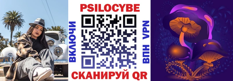 купить  сайты  Грайворон  Псилоцибиновые грибы GOLDEN TEACHER 